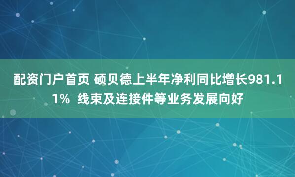 配资门户首页 硕贝德上半年净利同比增长981.11%  线束及连接件等业务发展向好