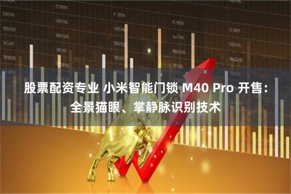 股票配资专业 小米智能门锁 M40 Pro 开售：全景猫眼、掌静脉识别技术