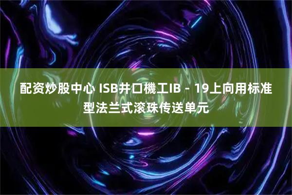 配资炒股中心 ISB井口機工IB - 19上向用标准型法兰式滚珠传送单元